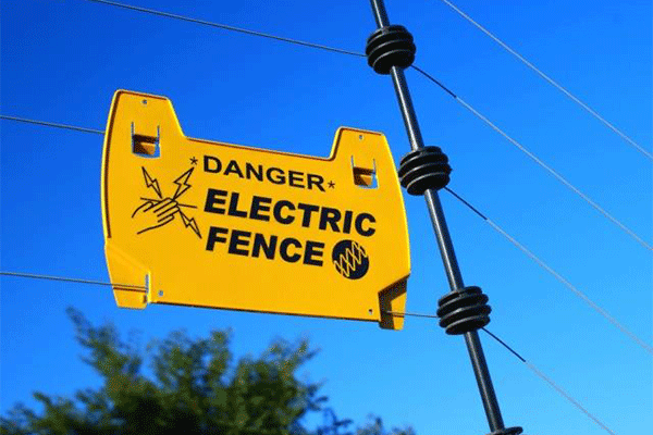 Electric-Fence-2